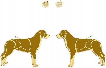 Mejk Jewellery Kolczyki Złote Z Psem Duży Szwajcarski Pies Pasterski 925