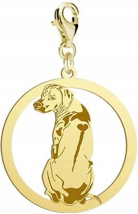 Mejk Jewellery Pozłacany Charms Z Psem Rhodesian Ridgeback Dedyka ...