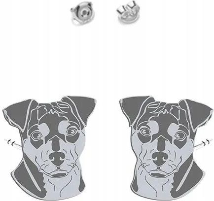 Mejk Jewellery Brazilian Terrier Kolczyki Wkrętki Srebro 925