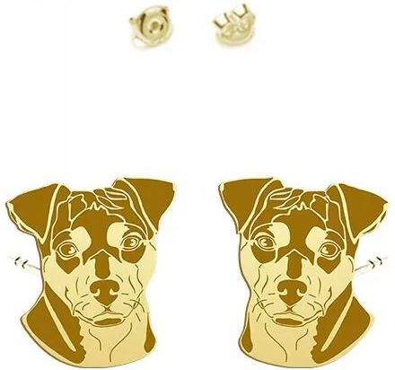 Mejk Jewellery Kolczyki Wkrętki Pozłacane Brazilian Terrier