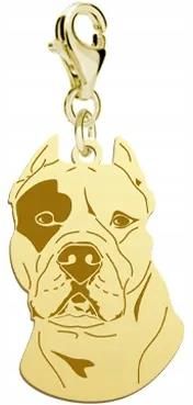 Mejk Jewellery Charms Złoty Z Psem Dogo Argentino 925