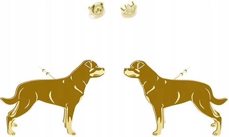 Mejk Jewellery Pozłacane Kolczyki Z Psem Rottweiler