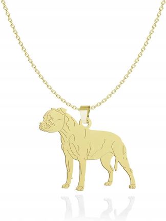 Mejk Jewellery Pozłacany Naszyjnik Staffordshire Bull Terrier