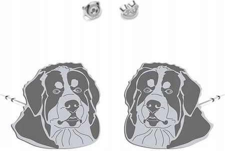 Mejk Jewellery Srebrne Kolczyki Bernese Mountain Dog