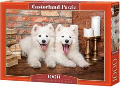 Zdjęcie Castorland Castor Puzzle 1000El. Szczeniaki Samoyeda - Gostyń
