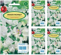 Zdjęcie Legutko Nasiona Groszek Pachnący Biały 15G - Opoczno