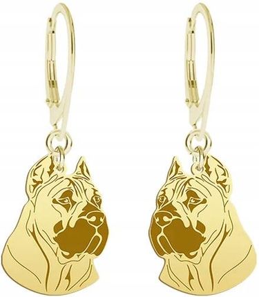 Mejk Jewellery Złote Kolczyki Dog Kanaryjski 925