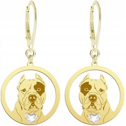 Mejk Jewellery Złote Kolczyki 925 Dog Argentyński