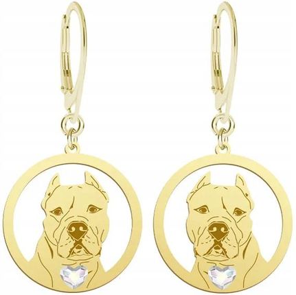Mejk Jewellery Złote Kolczyki 925 Dogo Argentino