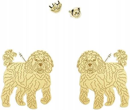 Mejk Jewellery Kolczyki Złote Cavapoo 925