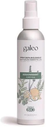 Spray oparty na BIO olejkach eterycznych Oczyszczenie Galeo 10 ml
