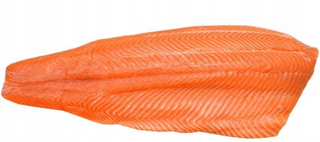 O-Fish.Pl Łosoś Filet Wędzony Na Zimno Plastrowany 1kg