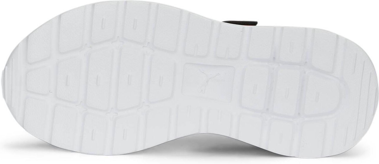 あんぱん photo625061_500.jpg