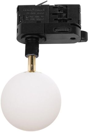 Zuma Line Lampa 3Fazowa Ali G9 Czarny Adapter Biały/Złoty D (9020Bk)