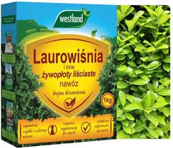 Zdjęcie Westland Nawóz Do Laurowiśni 1kg - Kańczuga