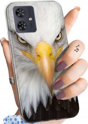 Hello Case Etui Do Motorola Moto G54 5G Orzeł Sokół Eagle Obudowa Pokrowiec Case