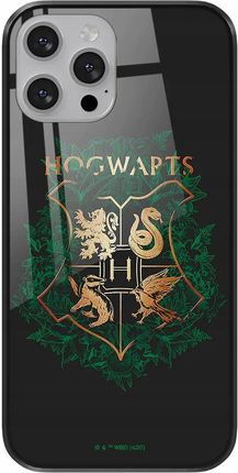 Ert Group Etui Do Apple Iphone 7/ 8/ Se 2/ Se 3 Harry Potter 019 Premium Glass Czarny