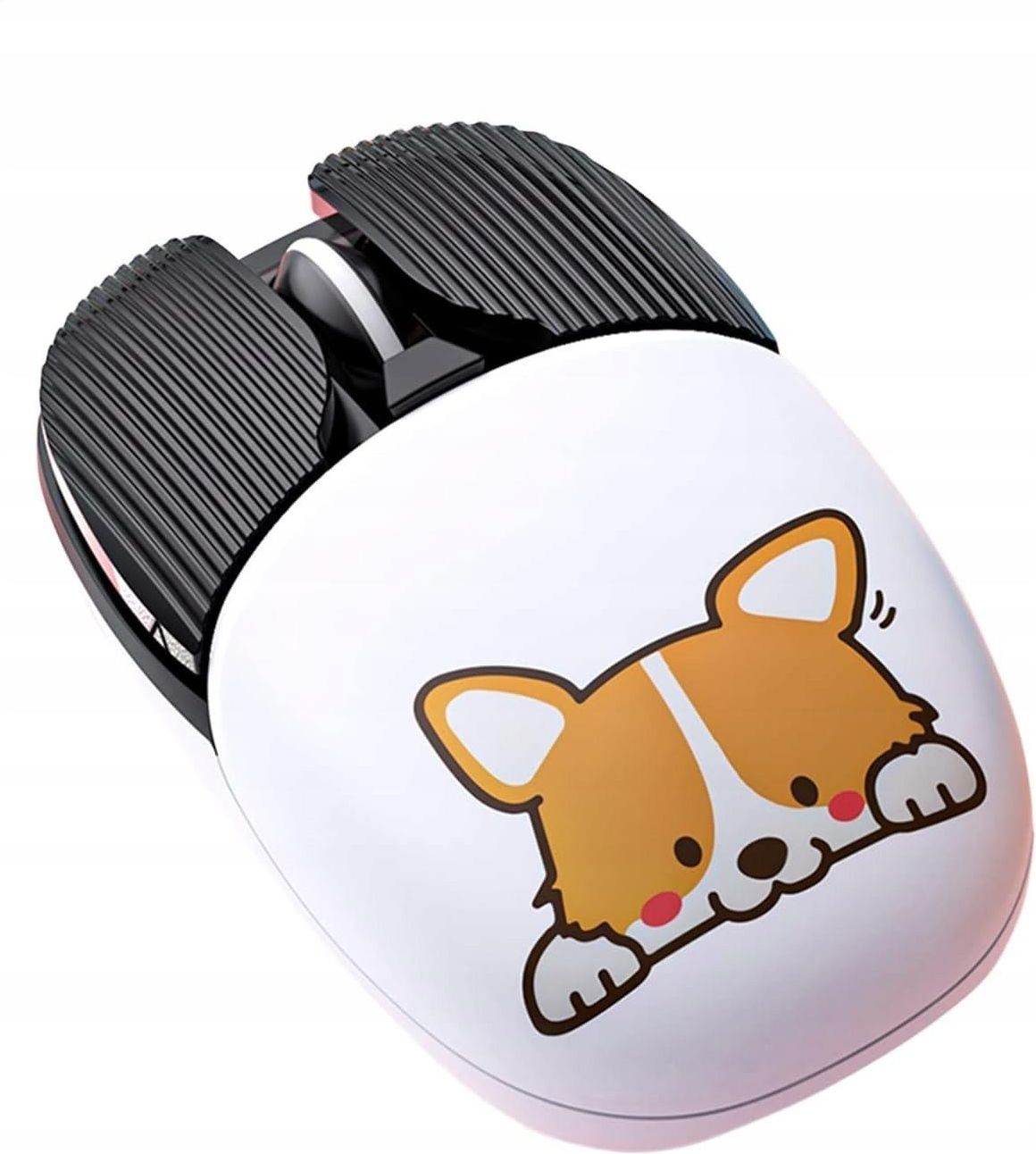 Corgi i-dsj-piesek-corgi-3-