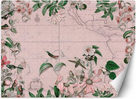 Feeby Fototapeta Ptaki wokół mapy kontynentów różowe Andrea Haase 300x210