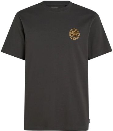 Męska Koszulka z krótkim rękawem O'Neill JS Senic T-Shirt 2850238-18021 – Szary