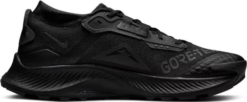 Buty męskie sportowe Nike Pegasus Trail 3 Gore-Tex DC8793