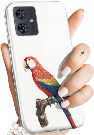 Hello Case Etui Do Motorola Moto G54 5G Ptaki Ptak Papuga Koliber Obudowa Case