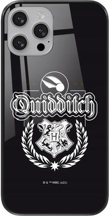 Ert Group Etui Do Apple Iphone 11 Pro Harry Potter 047 Premium Glass Czarny