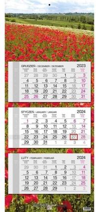 Kalendarz 2024 trójdzielny gł. płaska Maki 