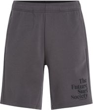 Zdjęcie O Neill Męskie Spodenki Future Surf Society Shorts 2700054 18021 Szary - Sulęcin