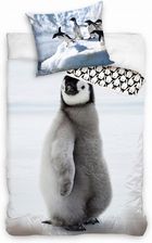 Zdjęcie Pościel młodzieżowa bawełniana 140x200 pingwin - Syców