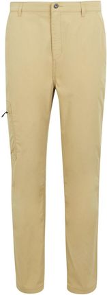 Spodnie męskie Regatta Dalry Trouser Rozmiar: L-XL / Kolor: beżowy