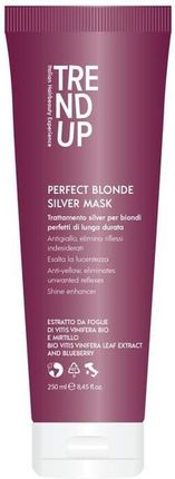 Trend Up - Maska silver do włosów blond, siwych, rozjaśnianych i po dekoloryzacji 250 ml