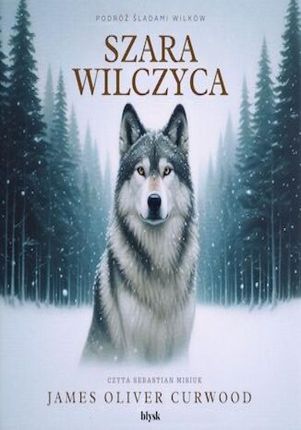 Szara Wilczyca (Audiobook)