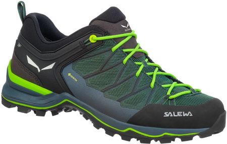 Buty męskie Salewa Ms Mtn Trainer Lite Gtx Rozmiar butów (UE): 42,5 / Kolor: czarny/zielony