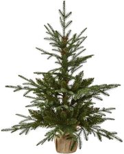 Zdjęcie Ekvip Choinka 90 Cm - Gniewkowo