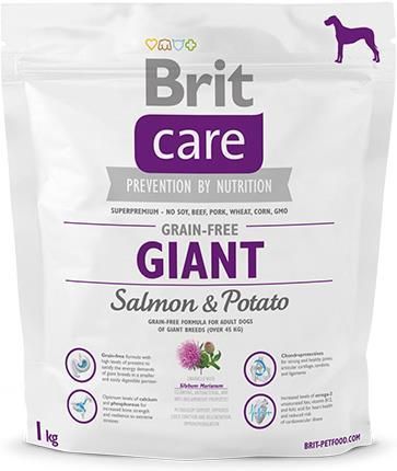 Brit Care Grain Free Giant Salmon & Potato Sucha Karma Dla Psa 12Kg