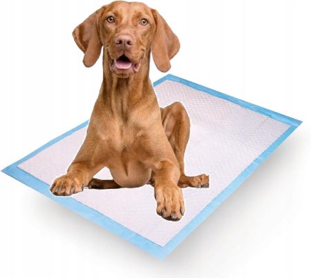 Podkład Higieniczny Daily Pad 1szt. 45X60Cm Szczeniak Dorosły Pies Mata