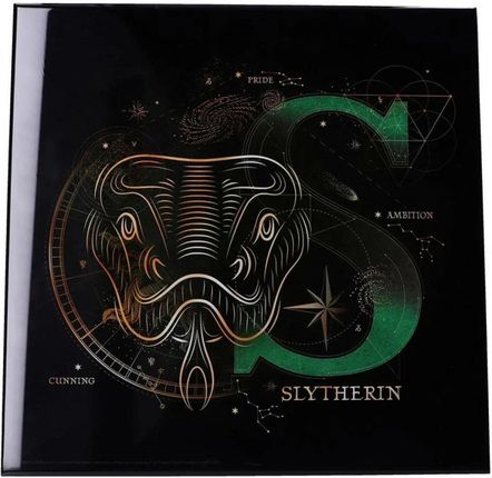 Nemesis Now Obraz Harry Potter Slytherin Celestial Crystal Clear Art Pictures (Nemesis Now)