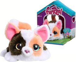 Zdjęcie Hasbro Furreal mini Kotek Szylkretowy 28062 - Korsze