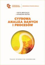 Zdjęcie Cyfrowa analiza danych i procesów - Szczecin