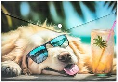 Zdjęcie Centrum Koperta A4 Pp Na Napę Z Nadrukiem Chillout Dog - Dobra