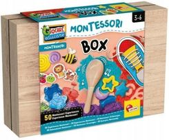 Zdjęcie Liscianigiochi Lisciani Giochi Montessori Box Pudełko 50 Aktywności 102594 - Sieradz