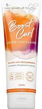LES SECRETS DE LOLY BOOST CURL NAWILŻAJĄCY ŻEL DO STYLIZACJI PRZECIW PUSZENIU SIĘ WŁOSÓW KRĘCONYCH 250ML