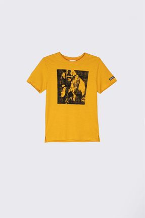 T-shirt z krótkim rękawem pomarańczowy z nadrukiem goryla