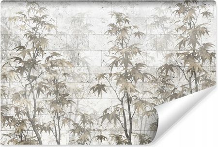 Muralo Fototapeta Do Salonu Drzewa Bambusowe Ceglany Mur Abstrakcja Beton 270x180