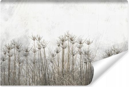 Muralo Fototapeta Do Salonu Wysoka Trawa Rośliny Natura Abstrakcja Beton 360x240