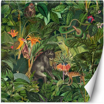 Feeby Tapeta Dżungla Zwierzęta Zielone Liście 250x250