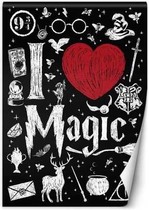 Feeby Fototapeta I Love Magic Harry Potter- Dr.Monekers 100x140