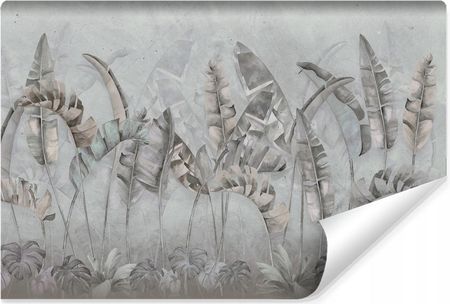 Muralo Fototapeta Do Salonu Liście Bananowe Monstery Beton Abstrakcja 3D 300x210