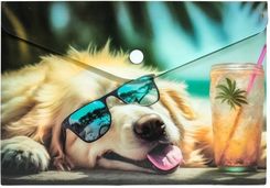 Zdjęcie Koperta A5 Pp Na Napę Z Nadrukiem Chillout Dog - Dolsk